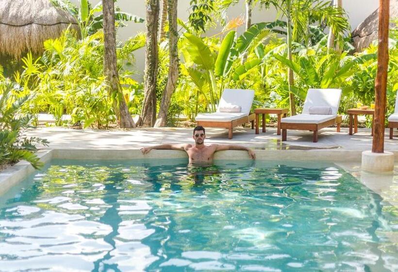 Fotos del hotel Zenses Wellness And Yoga Resort  Adults Only:  11