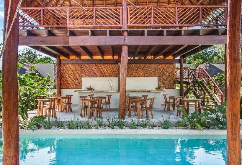 Zenses Wellness And Yoga Resort  Adults Only