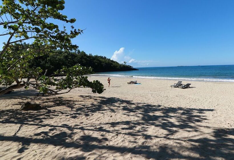 Fotos del hotel Casa Esferica:  11