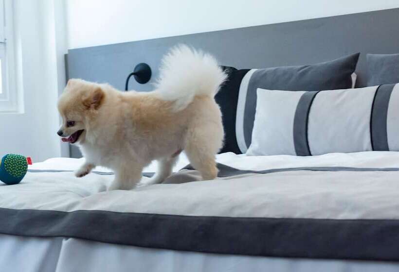 Fotos del hotel Ibis Styles Buenos Aires Florida:  3