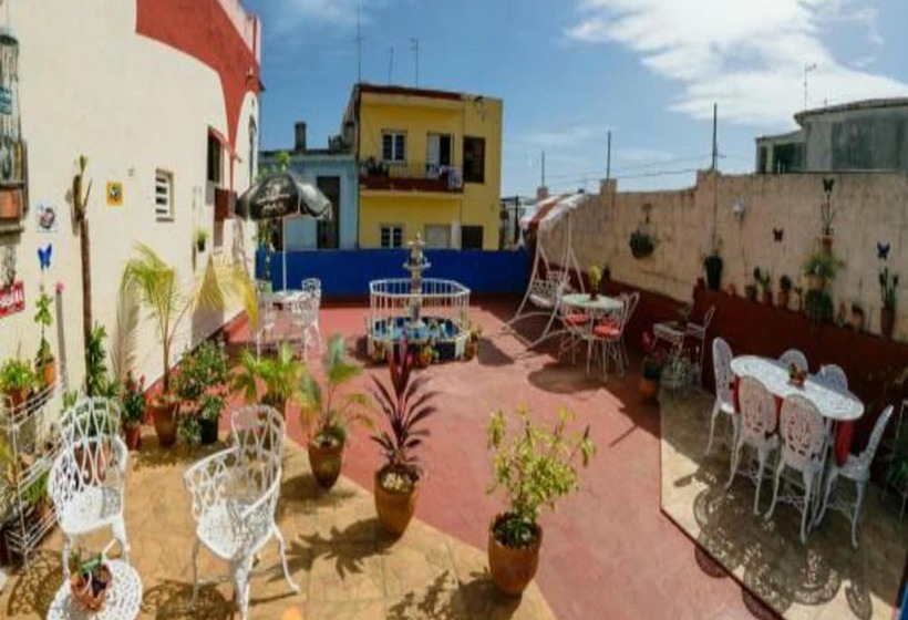 Fotos del hotel Casa De Ramon El Artista:  13