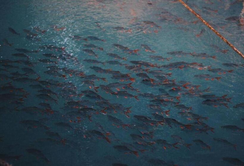 Fotos del hotel Koh Mueangkarn Paradise View Resort:  2