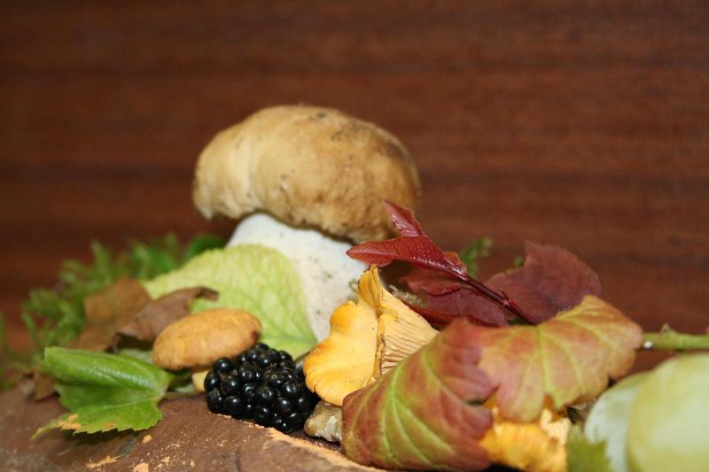 Fotos del hotel Weinhotel Ayler Kupp:  10