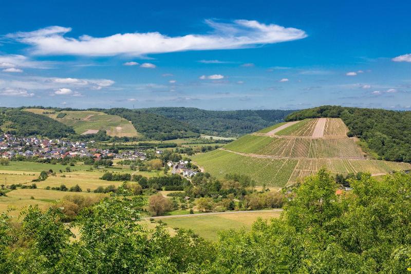 Fotos del hotel Weinhotel Ayler Kupp:  23