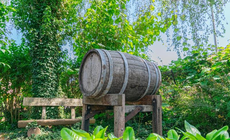 Fotos del hotel Weinhotel Ayler Kupp:  24