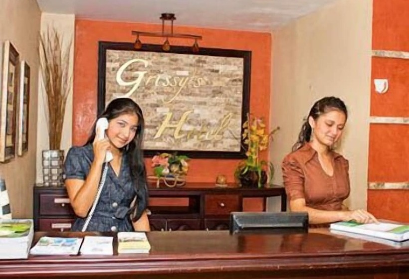 Fotos del hotel Grissy's:  10