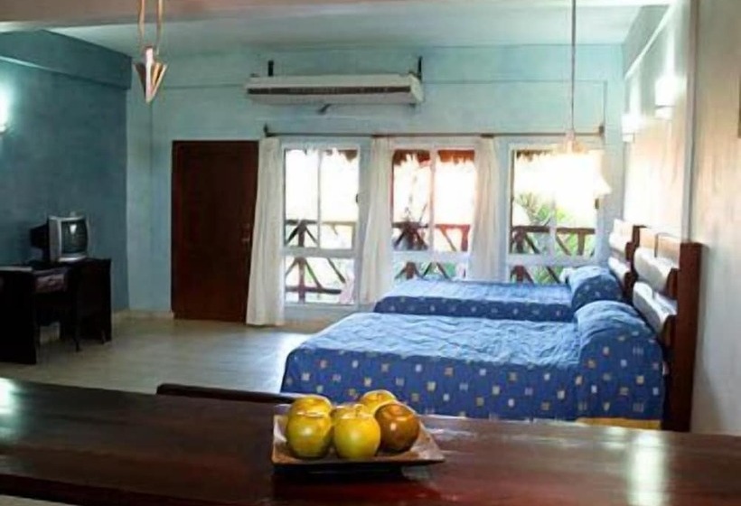 Fotos del hotel Grissy's:  13