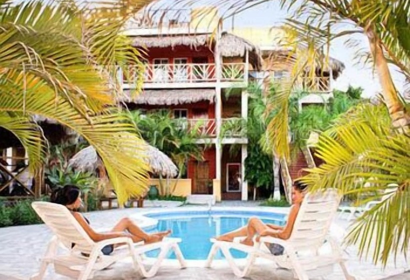 Fotos del hotel Grissy's:  6