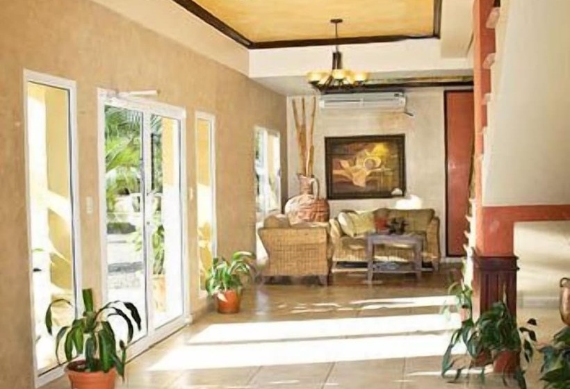 Fotos del hotel Grissy's:  11