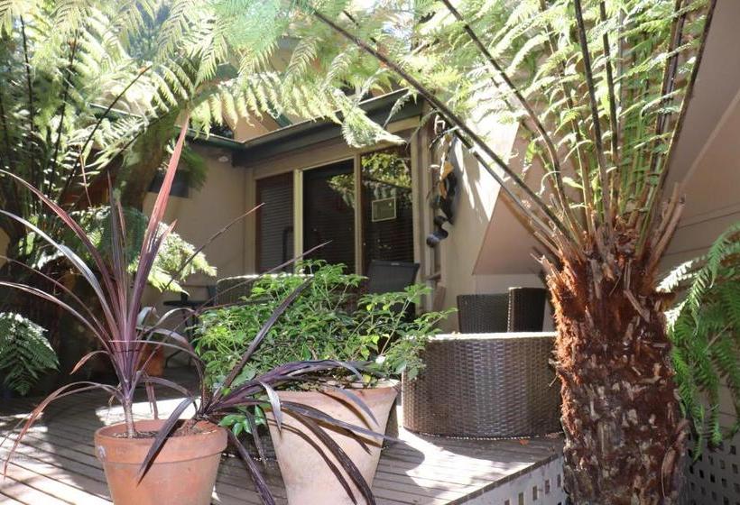 Fotos del hotel Linden Gardens Rainforest Retreat:  8