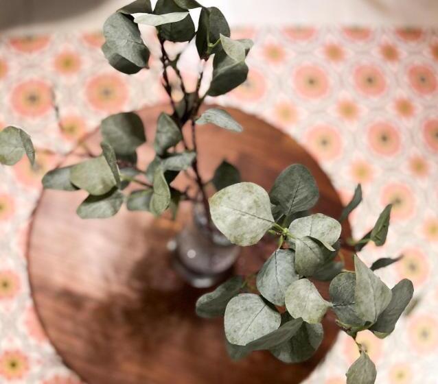 Fotos del hotel Anahita Boutique:  3