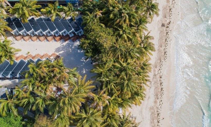 Reina Del Mar By Dorado