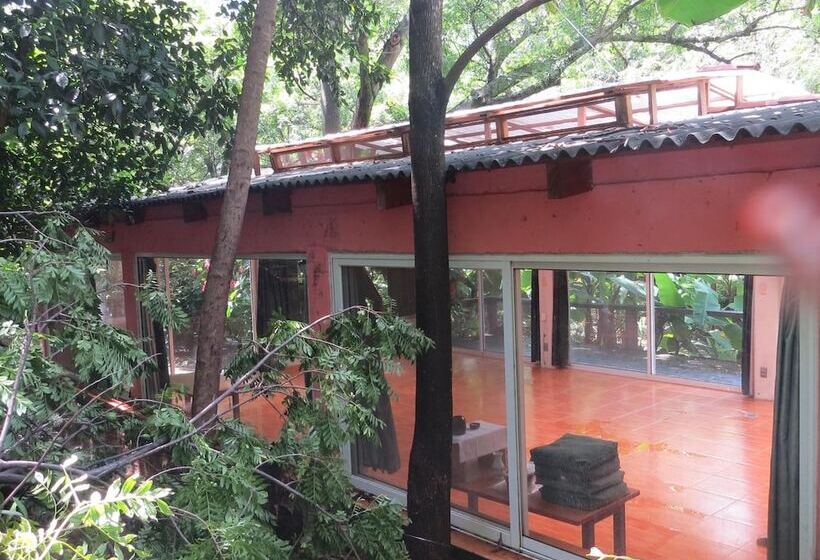 Fotos del hotel Agua Blanca:  2