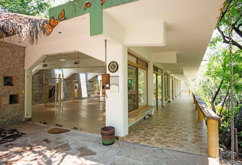 Fotos del hotel Agua Blanca:  6