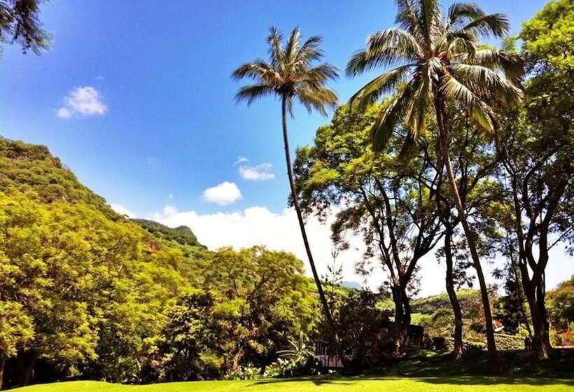 Fotos del hotel Agua Blanca:  9