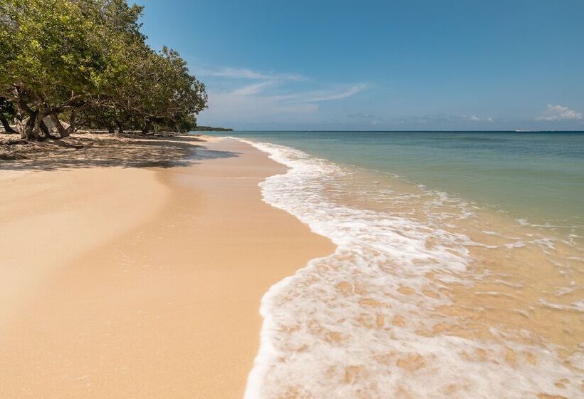Fotos del hotel Sofitel Barú Calablanca:  19