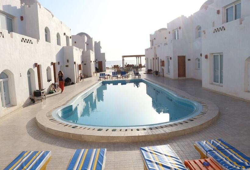 Fotos del hotel Rocketa Hotel Dahab:  2