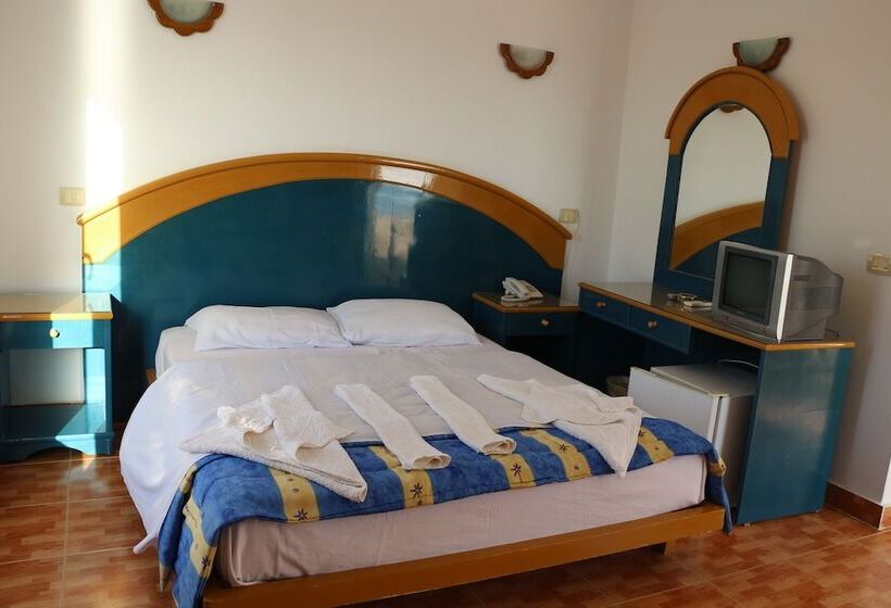 Fotos del hotel Rocketa Hotel Dahab:  3