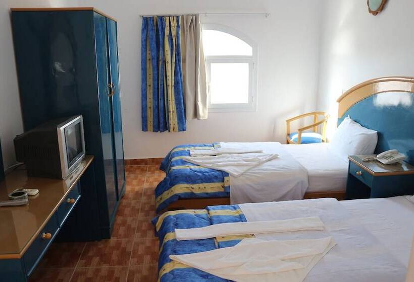 Fotos del hotel Rocketa Hotel Dahab:  5