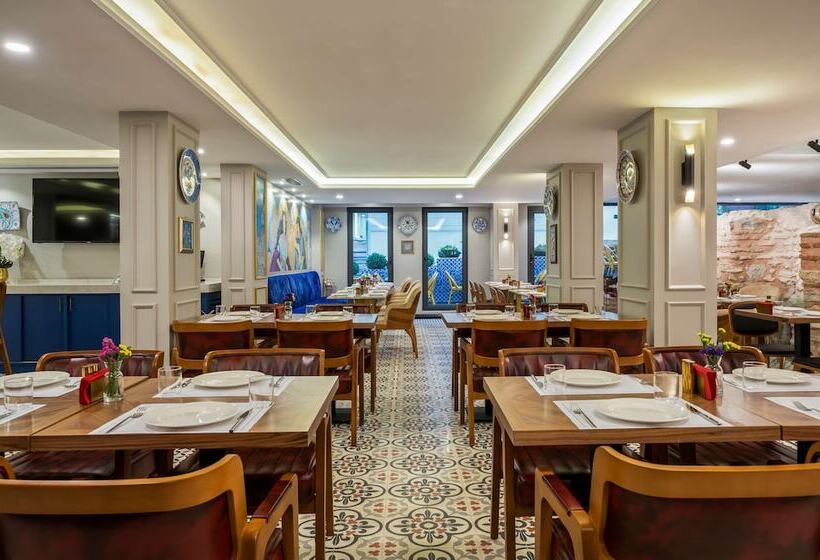 Fotos del hotel Royan Hotel Hagia Sophia Istanbul, A Member Of Radisson Individuals:  11