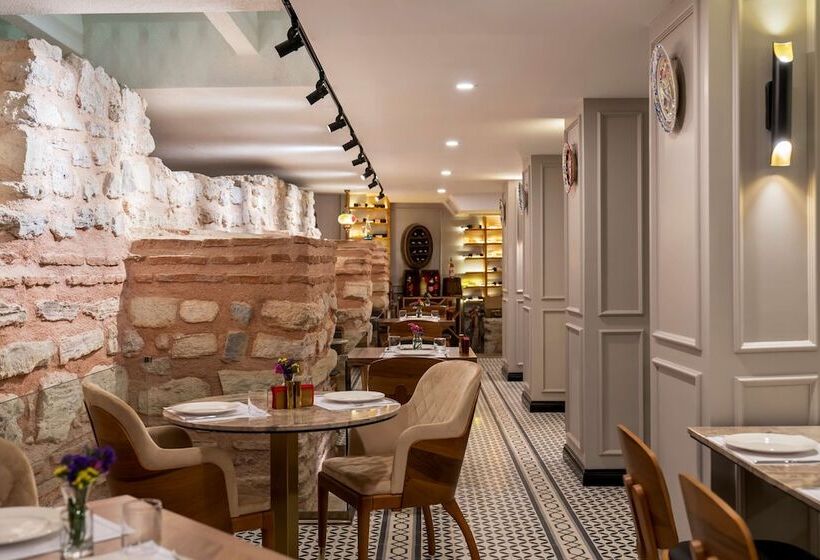 Fotos del hotel Royan Hotel Hagia Sophia Istanbul, A Member Of Radisson Individuals:  14