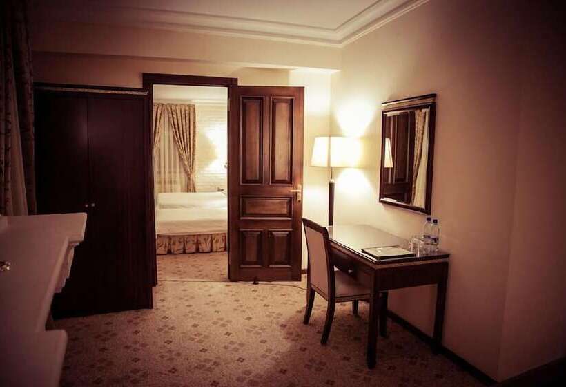 Fotos del hotel Samir:  19