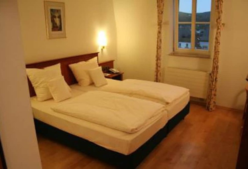 Fotos del hotel Altstadt:  9