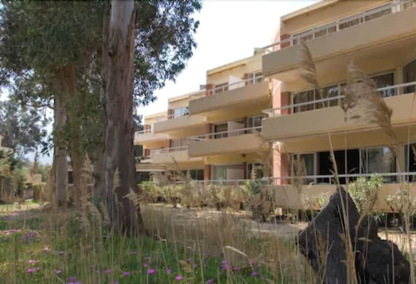 Fotos del hotel Calvi Hôtel:  23