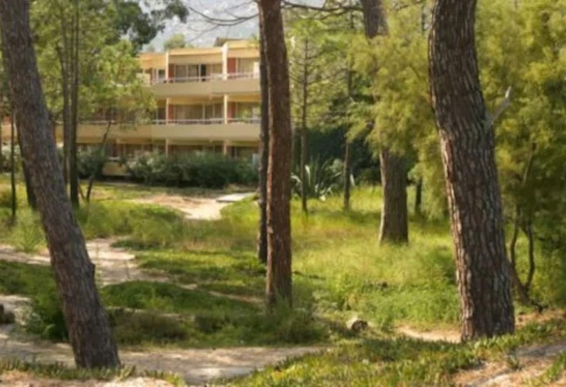 Fotos del hotel Calvi Hôtel:  20