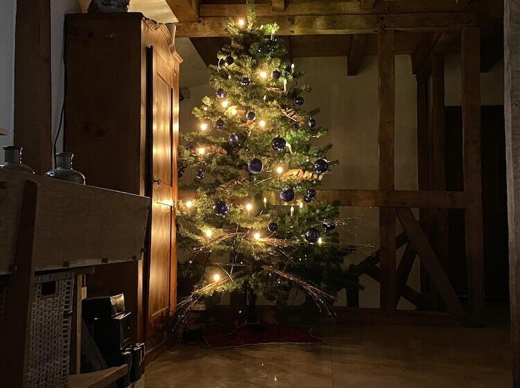 Fotos del hotel Landhaus Pohlhof:  6