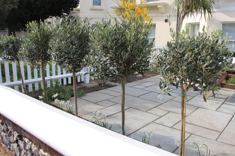 Fotos del hotel Ravilious:  12