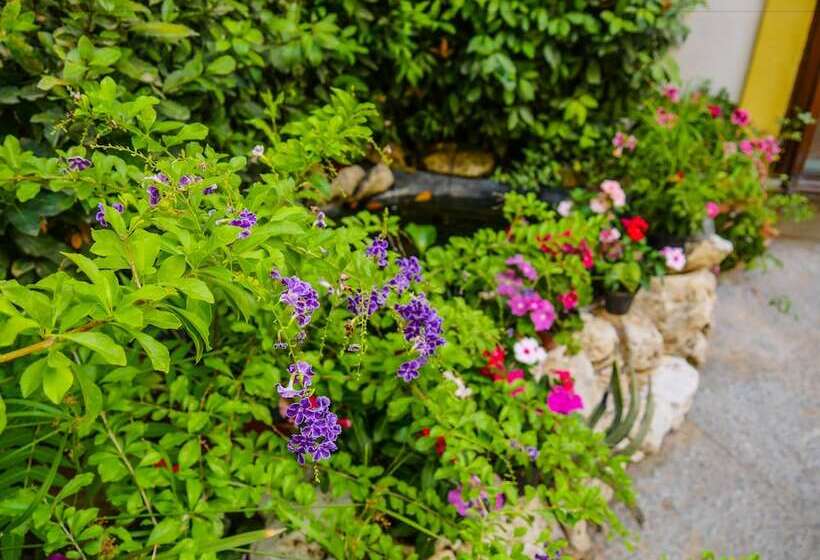 Fotos del hotel Al Giardino Dell'alloro:  5