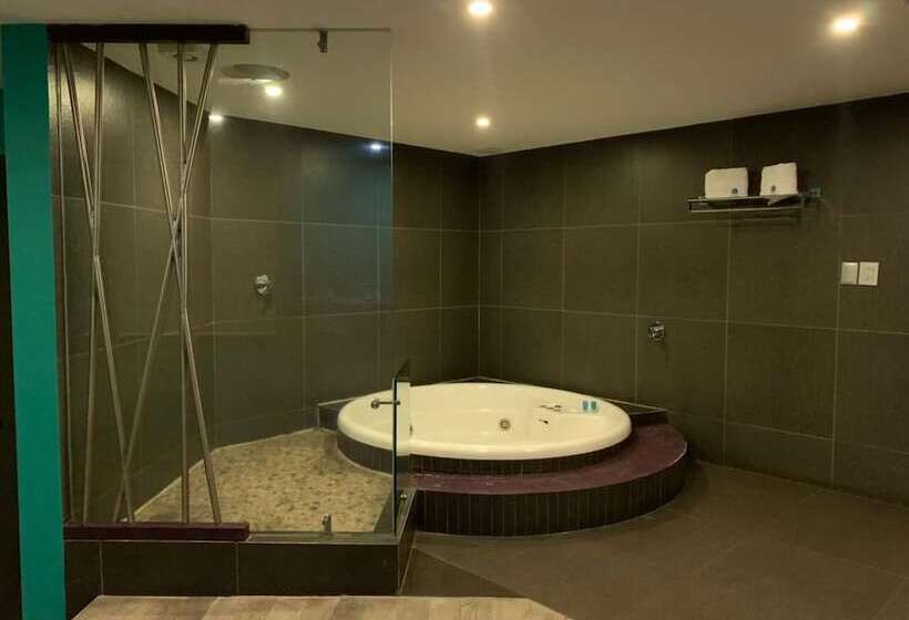 Fotos del hotel Tacubaya:  22