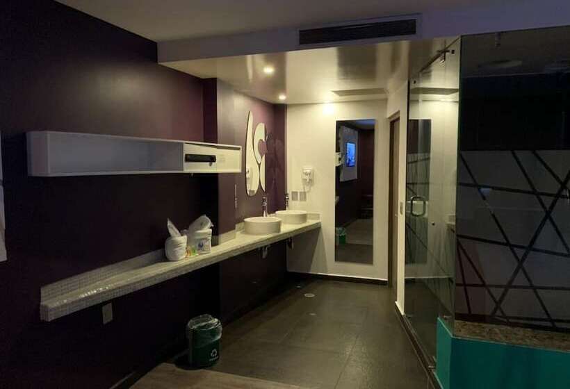 Fotos del hotel Tacubaya:  16