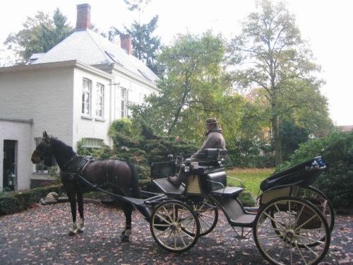 Fotos del hotel B&b 't Wit Huys Brugge:  13