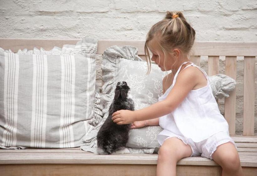 Fotos del hotel B&b 't Wit Huys Brugge:  10