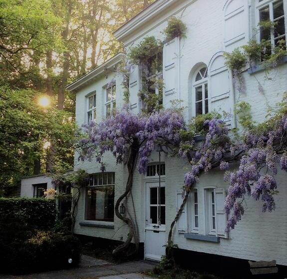 Fotos del hotel B&b 't Wit Huys Brugge:  11