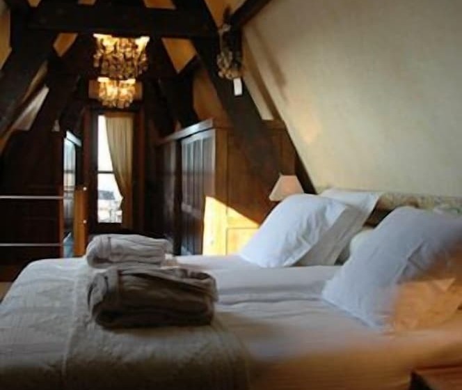 Fotos del hotel Guest House Huyze Die Maene:  2