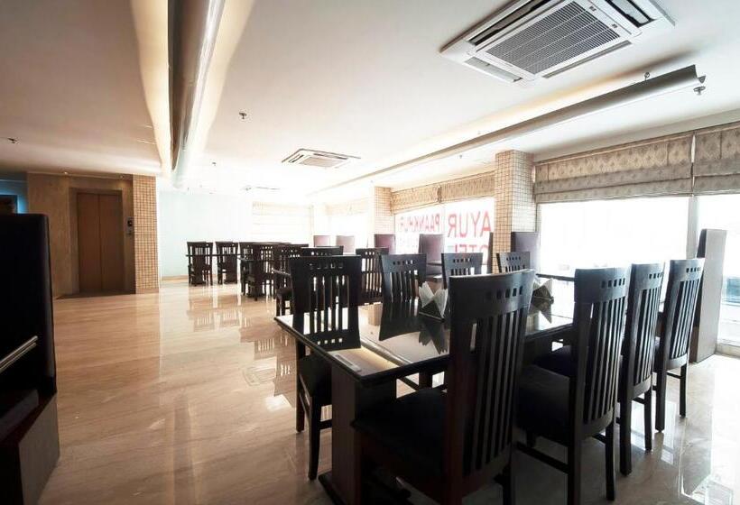 Fotos del hotel Mayur:  4