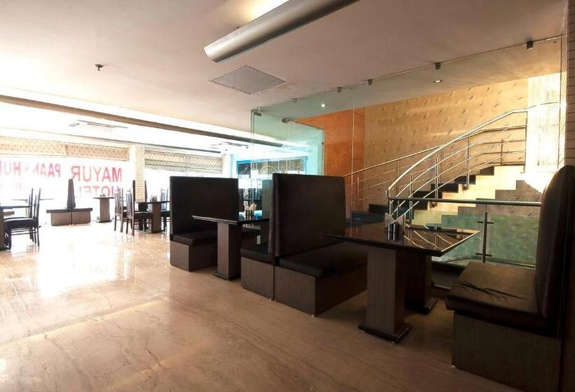 Fotos del hotel Mayur:  21