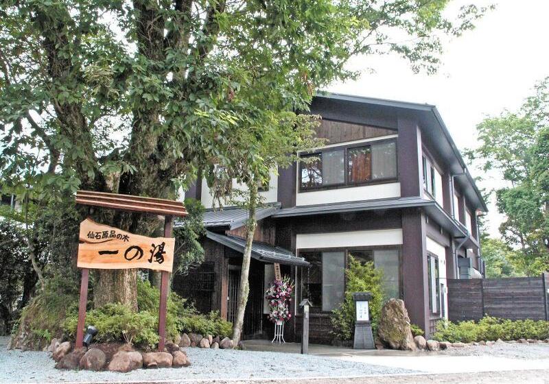 Fotos del hotel Shinanoki Ichinoyu:  4