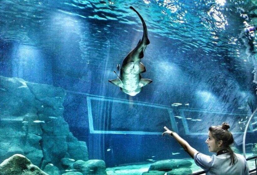 Fotos del hotel Plaza Riazor:  3