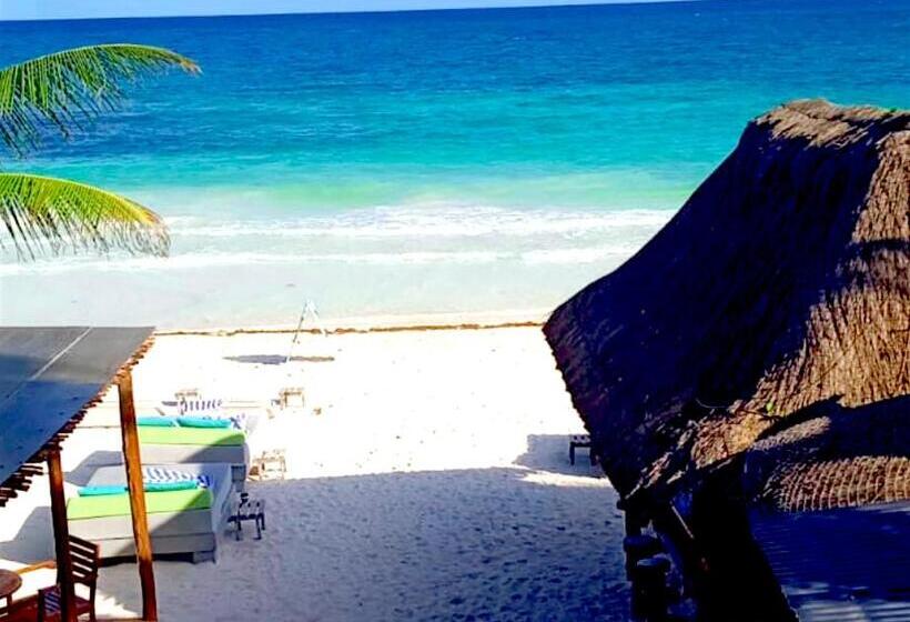 Fotos del hotel Playa Canek Beachfront Eco:  7