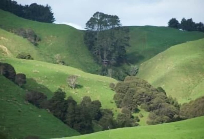 Fotos del hotel Foxgloves Bed And Breakfast:  9