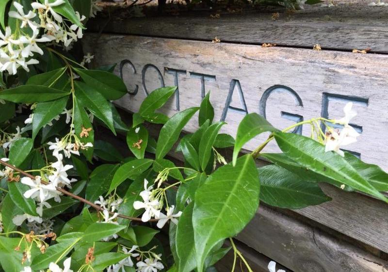 Fotos del hotel Heartsong Retreat:  12