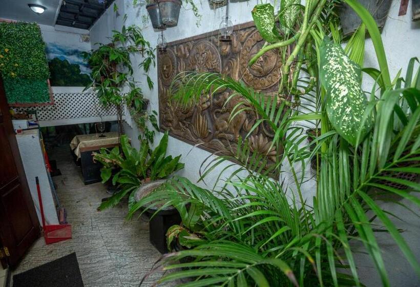 Fotos del hotel Vista Fort Thari Inn:  13