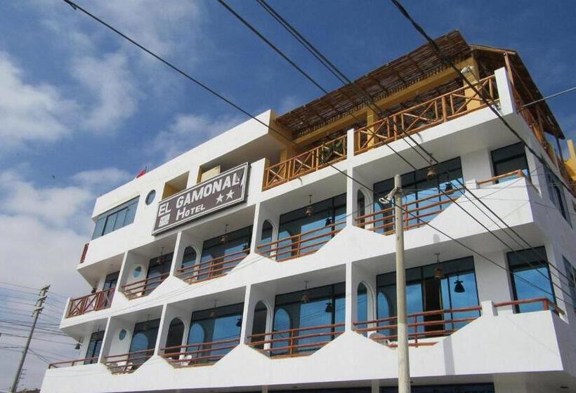 Fotos del hotel El Gamonal:  2