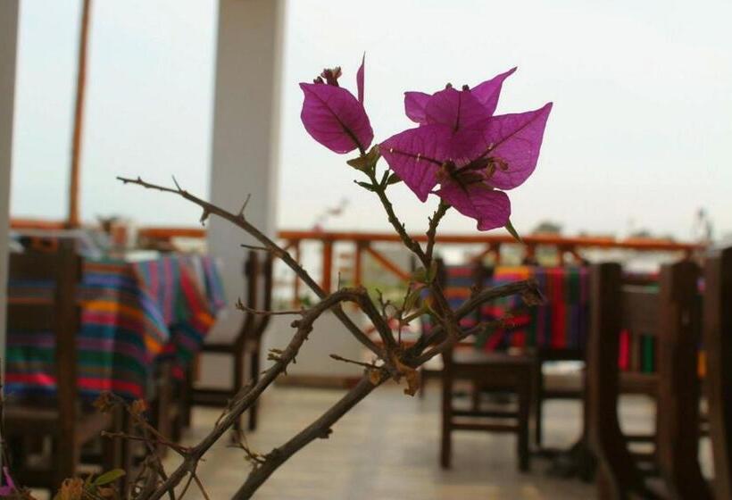 Fotos del hotel El Gamonal:  13