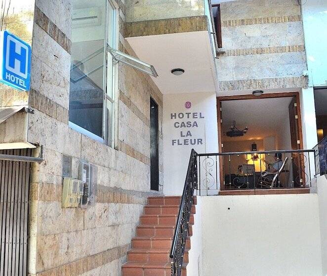 Fotos del hotel Casa La Fleur:  8