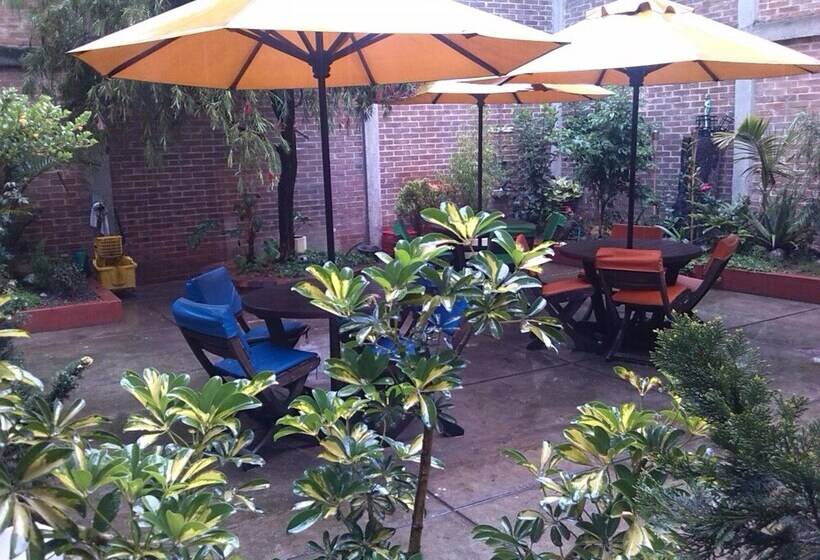 Fotos del hotel Morazul:  9